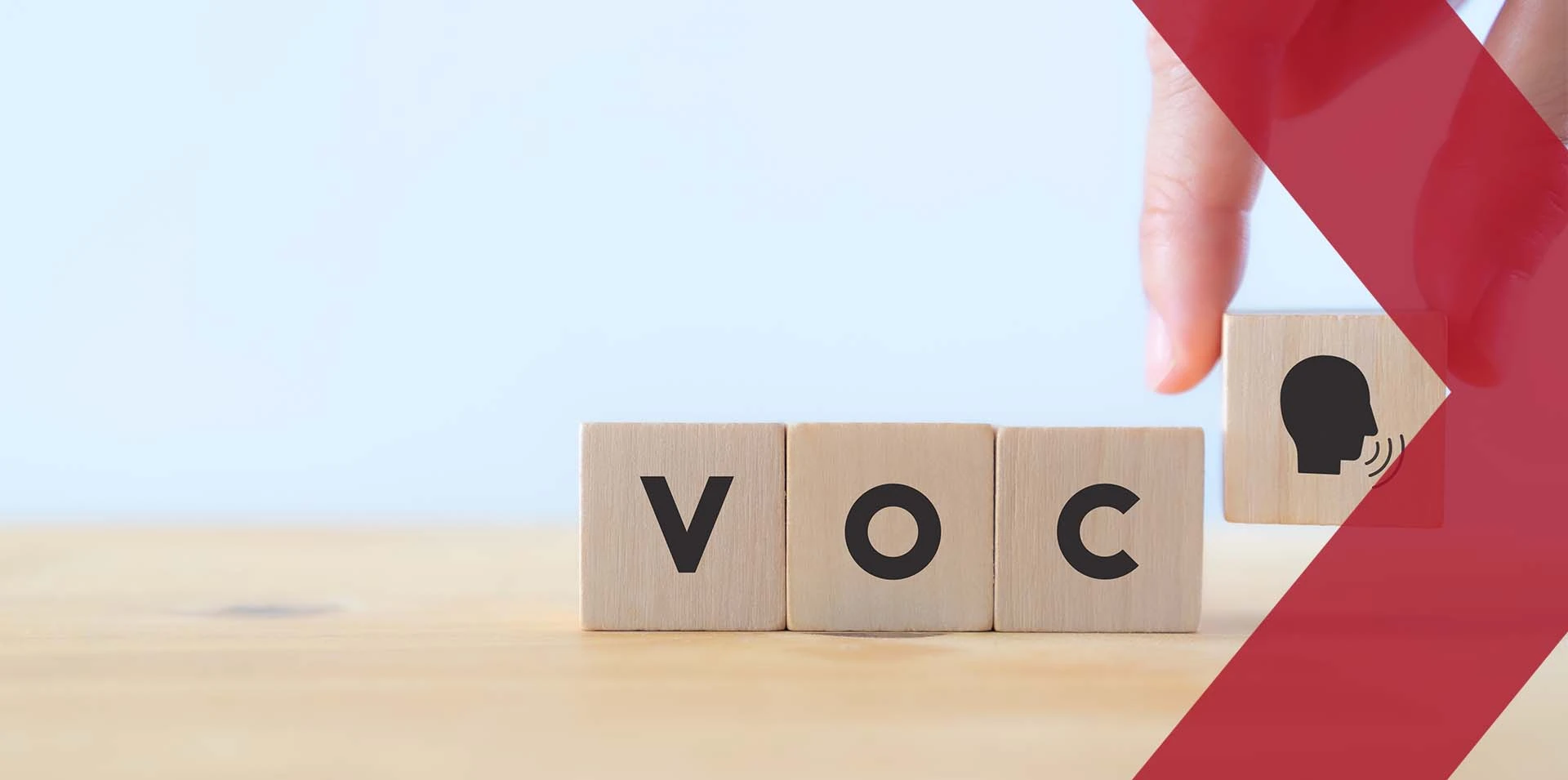 Voice of Customer (VoC)